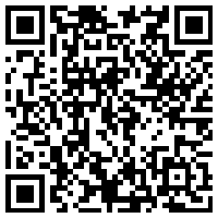 Dive into the Chinese Auto Market and Supply Chain